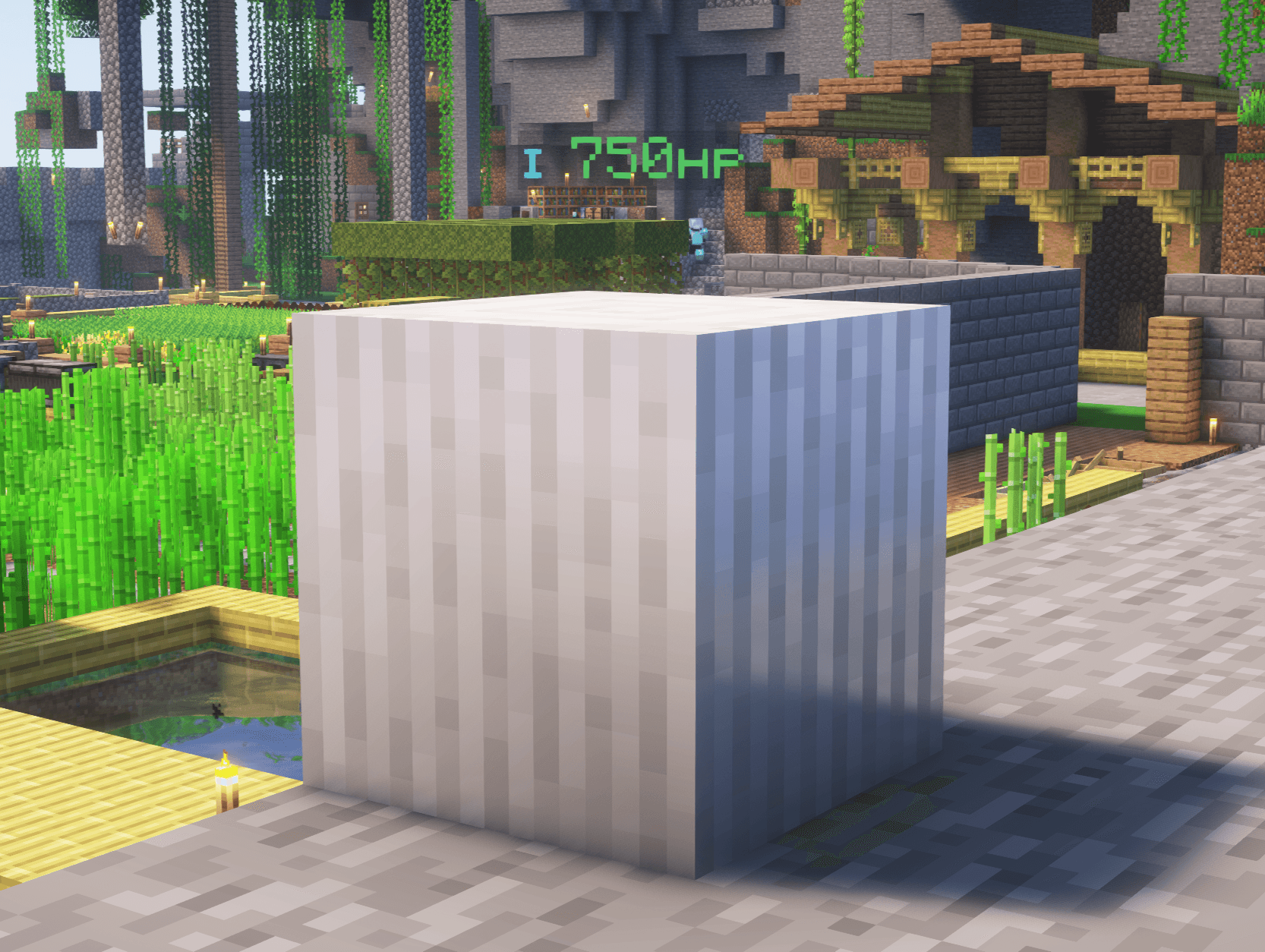 Block Health